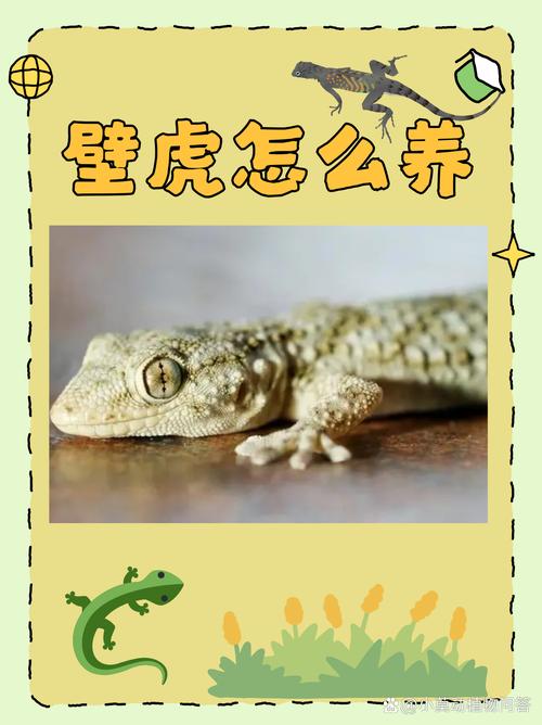 图说蝾螈蛙饲养电子版，新手必看！（图说蜥蜴饲养有电子版吗）
