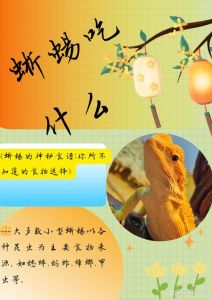小蜥蜴吃什么？（家养小蜥蜴吃什么食物）