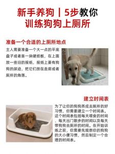 狗狗厕所放哪好？卫生远离食盆，阳台通风卫生间方便（狗狗厕所放哪里好）
