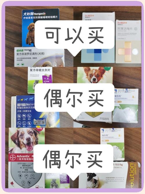 狗狗驱虫有讲究，幼犬密集成犬按期，预防更关键！（狗狗体内外驱虫多长时间一次）