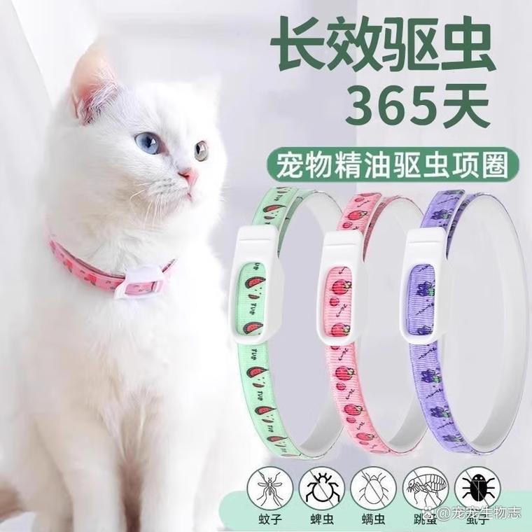 科学养猫，幼猫3月内频次高，成猫按环境驱虫，孕产期选药需谨慎（猫多大可以驱虫）