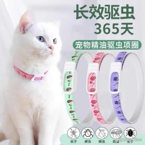 科学养猫，幼猫3月内频次高，成猫按环境驱虫，孕产期选药需谨慎（猫多大可以驱虫）