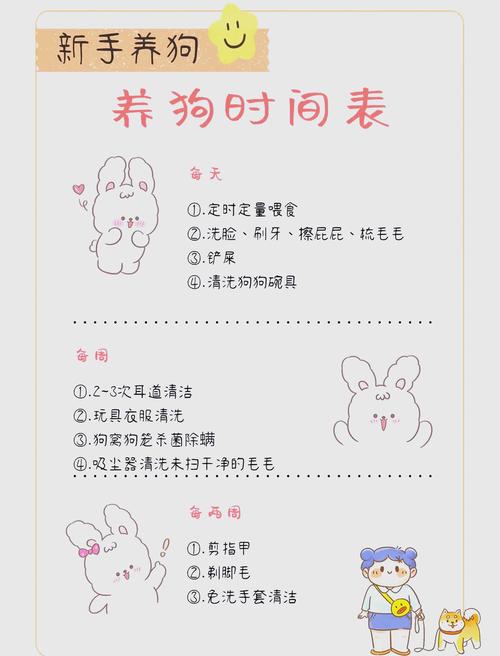 玩耍陪伴与爱的表达（主人给小狗的任务清单）