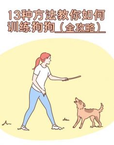 零食引导坐，拍手叫名字，尿垫憋尿，正向强化（怎么训练狗）