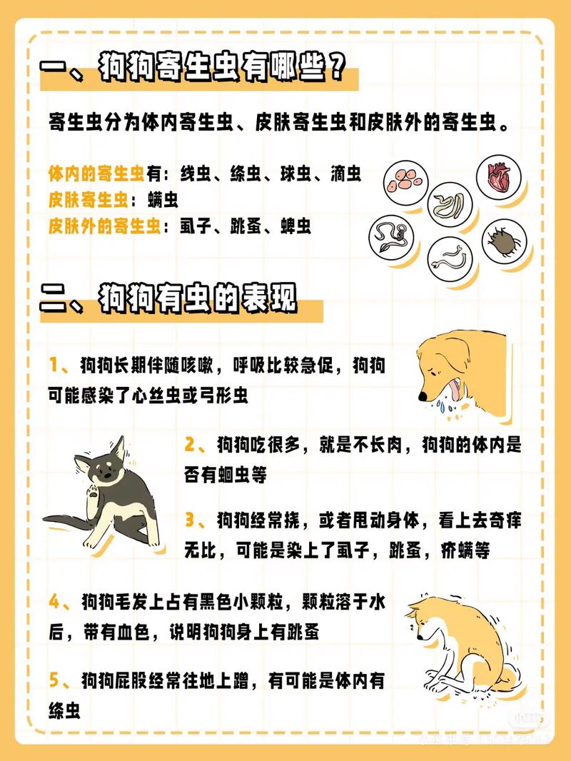 幼犬密集驱虫，成犬定期，户外高风险增加频率（成年小狗多久做一次内驱）
