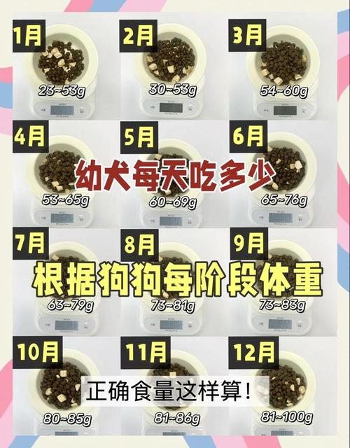 狗狗多久驱虫？看年龄环境科学选（狗狗一个月吃一次内驱）