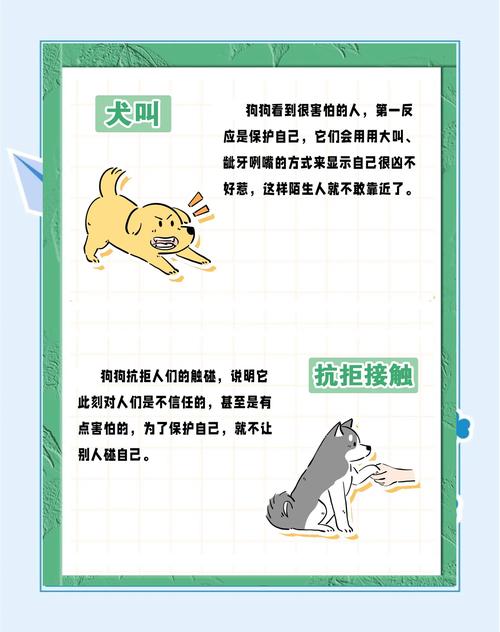 狗狗胆小原因及主人应对（狗狗胆小是天生的吗）