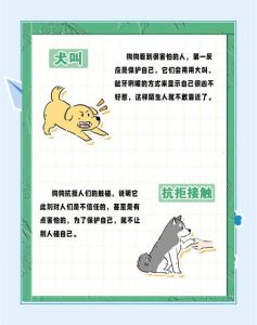 狗狗胆小原因及主人应对（狗狗胆小是天生的吗）
