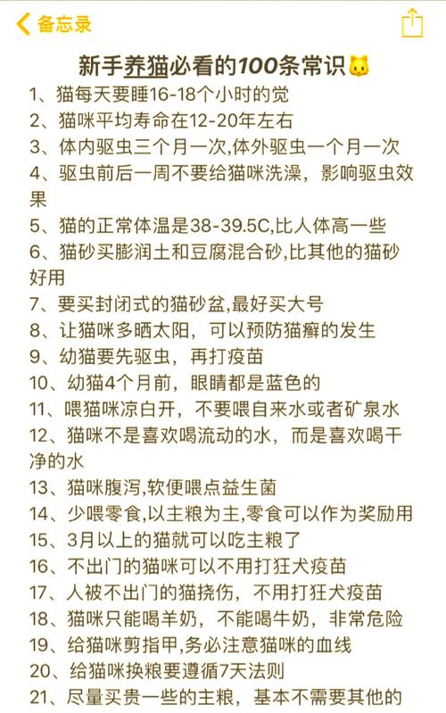 选对量看时机，猫咪体外驱虫要注意！（小猫体外驱虫注意事项）