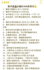 选对量看时机，猫咪体外驱虫要注意！（小猫体外驱虫注意事项）