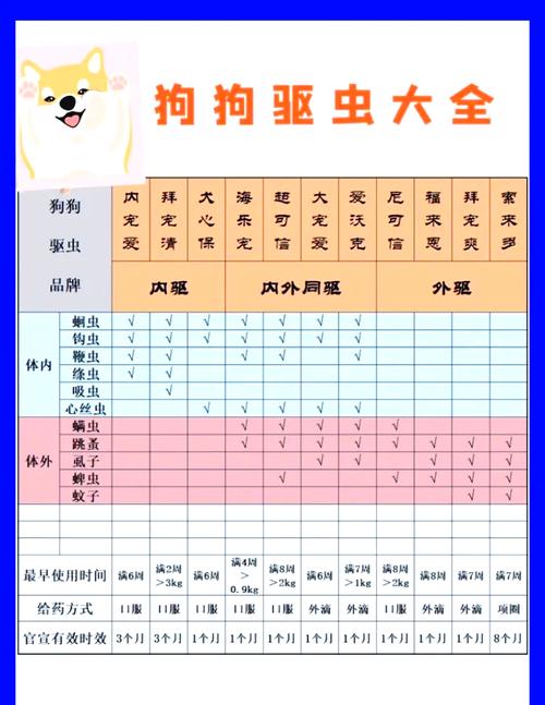 小狗首次驱虫时间及注意事项（小狗首次驱虫多少天）
