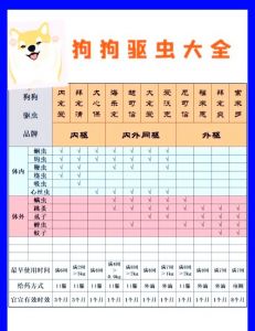 小狗首次驱虫时间及注意事项（小狗首次驱虫多少天）