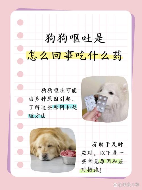 狗狗不驱虫会吐？小心寄生虫危害！（狗狗长时间不驱虫会呕吐吗）