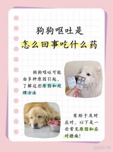 狗狗不驱虫会吐？小心寄生虫危害！（狗狗长时间不驱虫会呕吐吗）