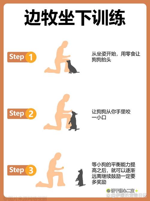 食物控制与牵引绳主导权（狗狗不听话怎么办教你两招）