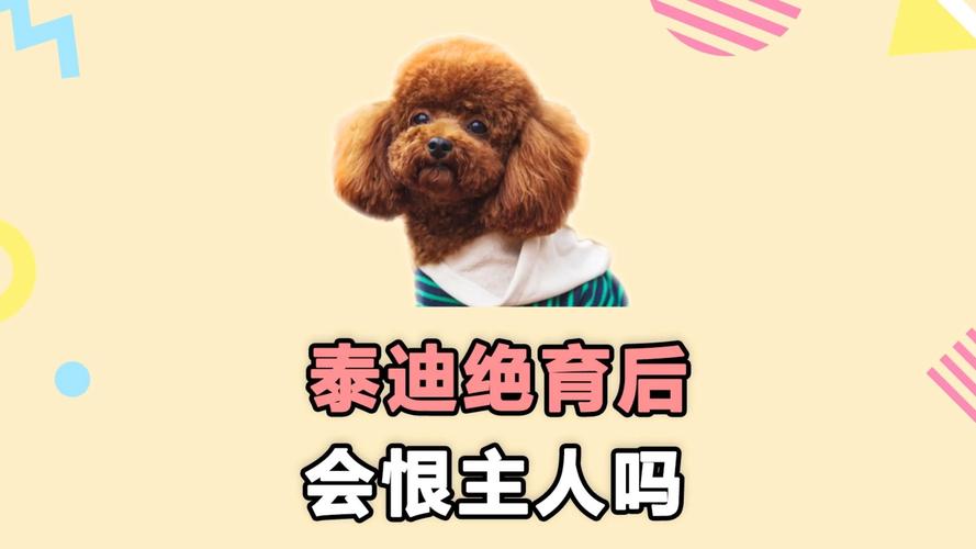 狗狗绝育后躲藏低吼怎么办？（狗狗被主人绝育了会记恨主人吗）