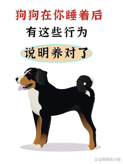 狗狗离不开主人，主人是狗狗的港湾（小狗需要主人）