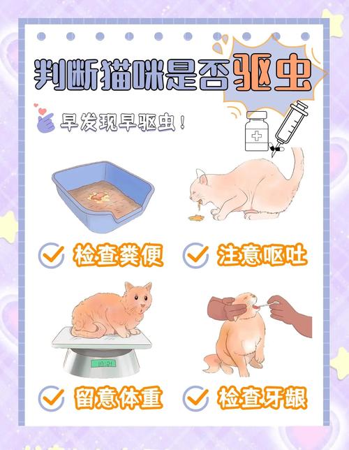 幼猫驱虫每月喂，科学保健康（小猫多久驱虫一次比较好）