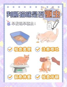 幼猫驱虫每月喂，科学保健康（小猫多久驱虫一次比较好）