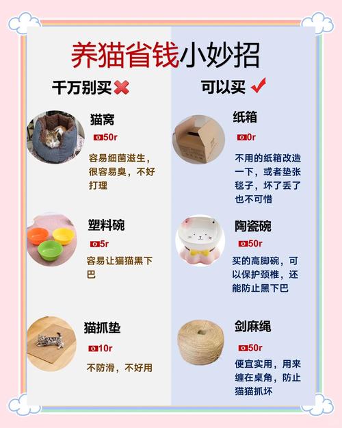 老人真心想养猫，需考虑周全（老人养猫要注意什么）