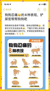 长期疼痛伤心灵，科学养宠更幸福（狗不小心被主人弄疼了会记恨吗）