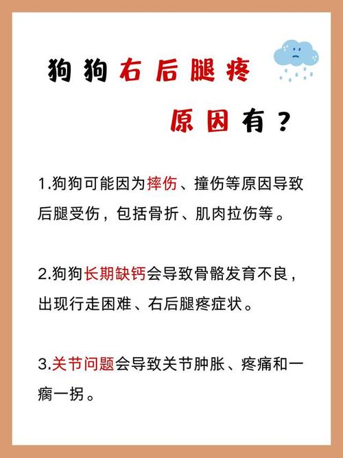 狗狗后腿瘸了？快看原因并找兽医！（狗狗跑步后后腿有点瘸）