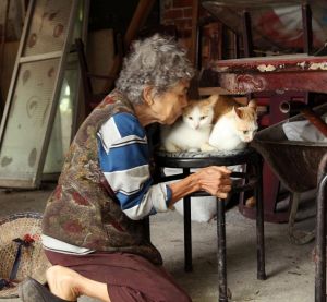 养猫陪老人，暖心又省心（老人为什么喜欢猫）