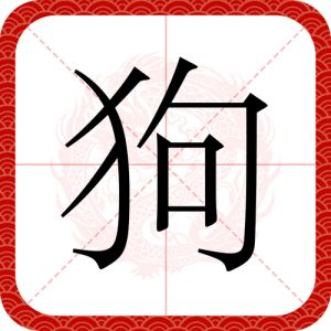 狗狗调教靠耐心，正向奖励效果好（线下怎么调小狗m）