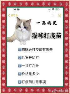 疫苗后猫咪洗澡要等几天？（猫咪为什么打完疫苗才能洗澡）