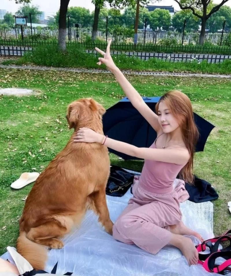 女子遛狗被狗扑倒，情感寄托引热议（单身女人与大黑狗事件引发热议）