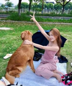 女子遛狗被狗扑倒，情感寄托引热议（单身女人与大黑狗事件引发热议）