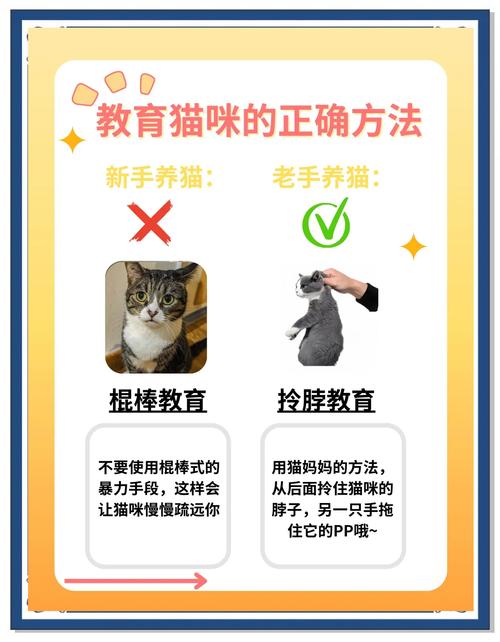 管好猫咪调皮，别打骂，教它就好（如何惩罚不听话的猫）