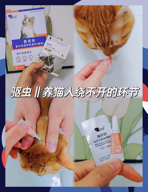 幼猫驱虫后多久能摸？（幼猫体外驱虫后能摸吗）