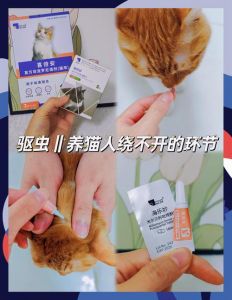 幼猫驱虫后多久能摸？（幼猫体外驱虫后能摸吗）
