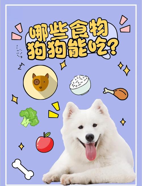 狗狗吃米饭安全吗？量要控制！（狗狗不能吃白米饭吗）