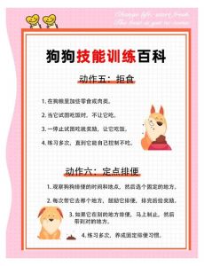 信任沟通训狗狗，因材施教情更浓（没有教不会的狗狗训狗书）