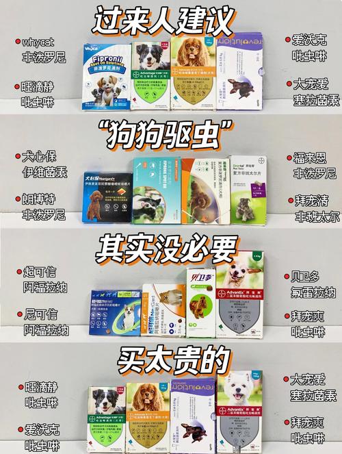 5斤小狗驱虫半片药，注意观察和预防（5斤小狗内驱虫多少量）