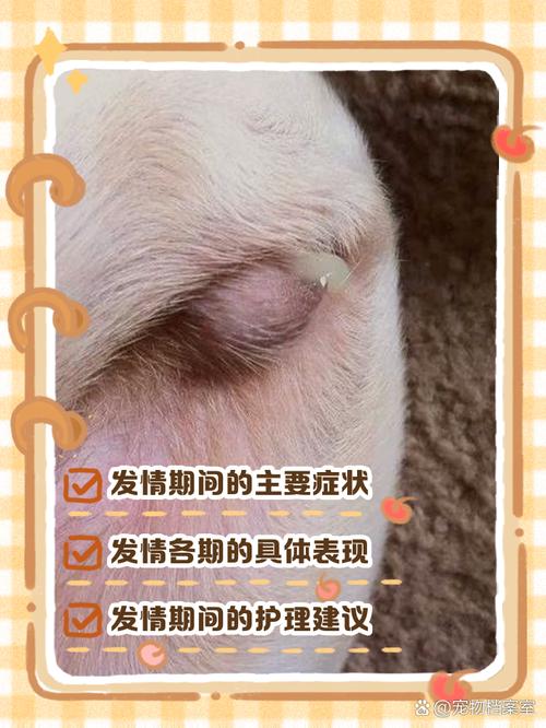晒自家小母狗被指侵犯肖像权，宠物照片分享引深思（小母狗被主人发照片了怎么办）