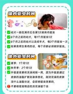 幼犬每月驱虫，成犬半年一次，健康关键（狗狗多长时间驱虫）