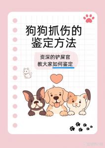 狗狗抓后颈要温柔，指甲长需修剪，抓伤人要消毒，挠身要检查（应该抓小狗狗哪里）