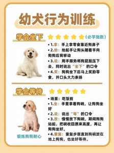8个月黄金期，狗狗易训好习惯（狗狗几个月开始教技能）