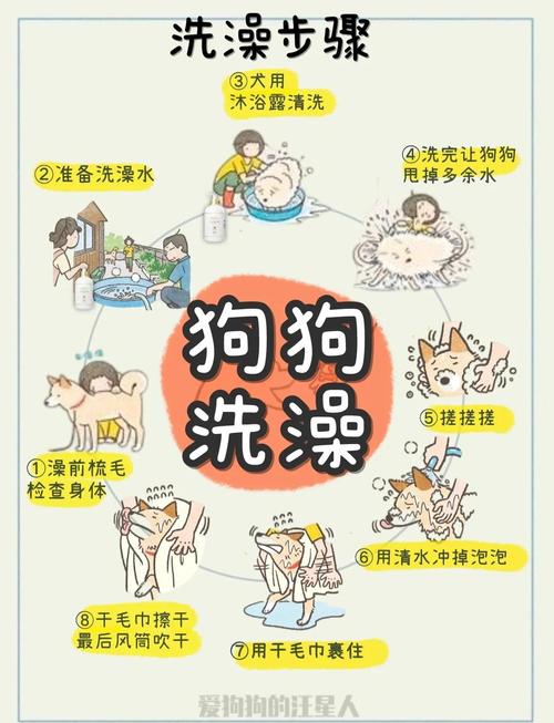 狗狗洗澡三天后才能驱虫，滴药要均匀别洗掉（狗狗洗好澡能驱虫吗）