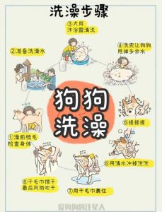 狗狗洗澡三天后才能驱虫，滴药要均匀别洗掉（狗狗洗好澡能驱虫吗）