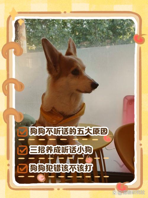 关联学习，正向强化，耐心奖励（如何惩罚不听话的狗）