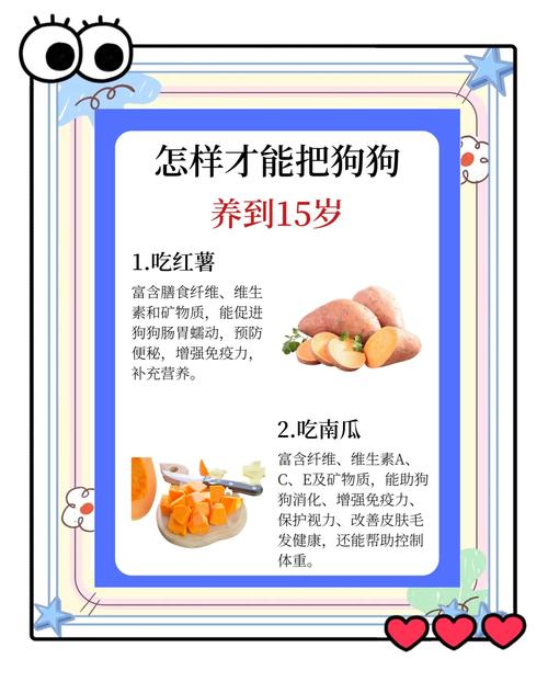 母乳奶粉要选对，幼犬成犬营养不同！（小狗狗应该吃些什么）