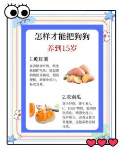 母乳奶粉要选对，幼犬成犬营养不同！（小狗狗应该吃些什么）