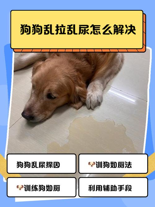 狗狗排尿困难？快看这应急方法！（狗狗不排尿的解决方法）