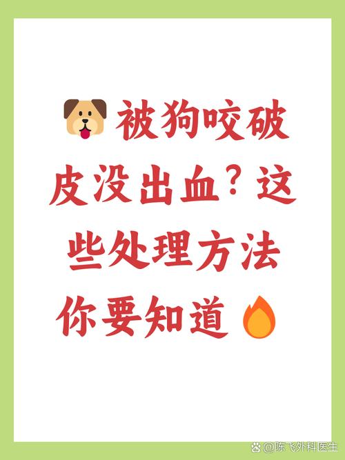 小奶狗咬人怎么办？主人应对指南（小奶狗咬人怎么办怎么教）