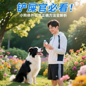 小狗六周龄即可驱虫，科学用药关注发育（门牙还没长齐的小狗能驱虫吗）