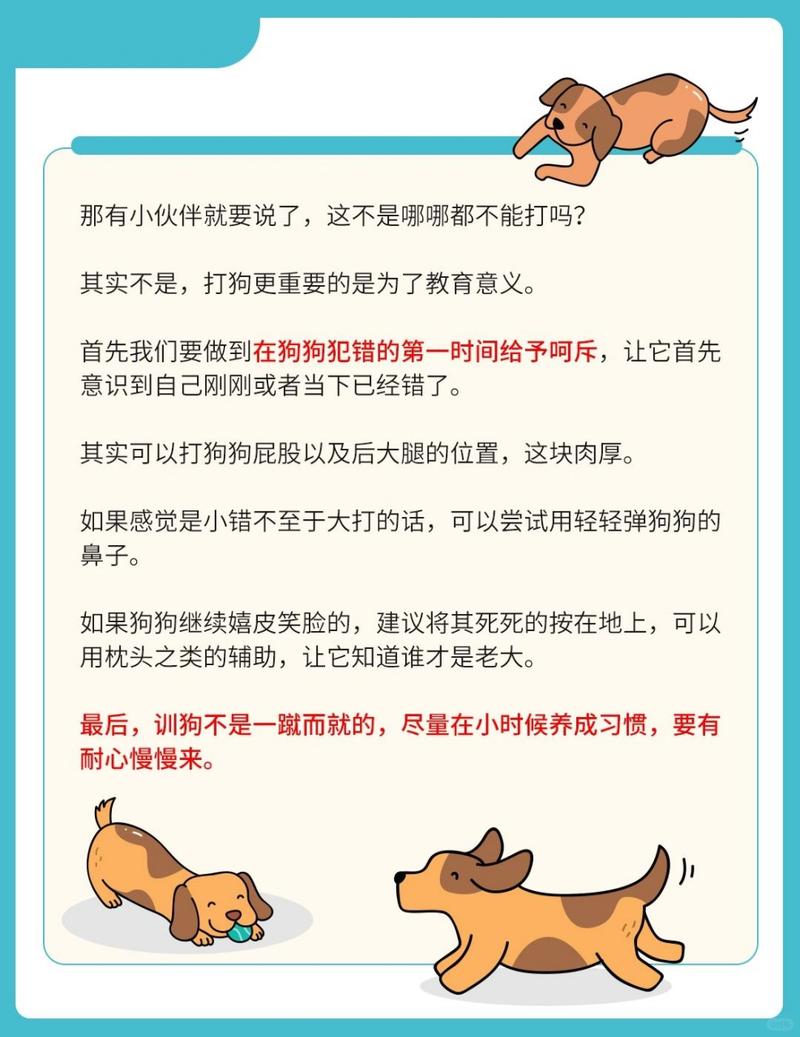 小狗不听话？主人训练方法得改！（小狗不听话怎么教育）